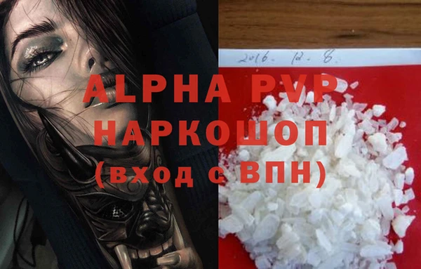 прущие грибы Верхнеуральск
