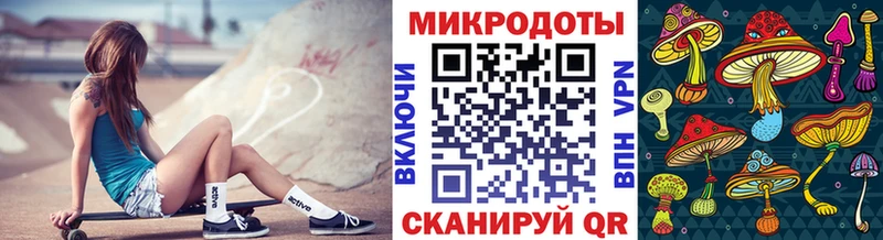 Галлюциногенные грибы Psilocybine cubensis  Омск 